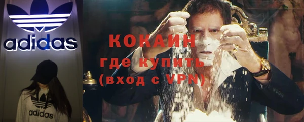 индика Няндома