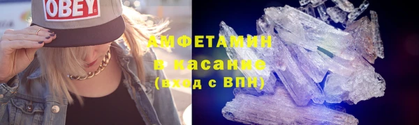 индика Няндома