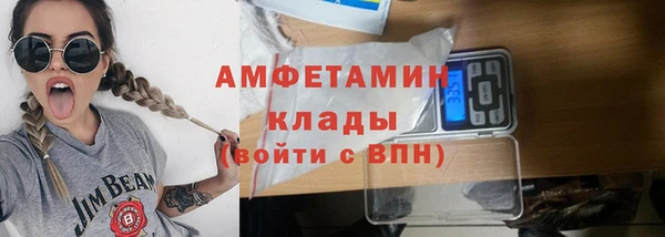 индика Няндома
