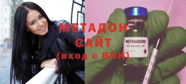 индика Няндома