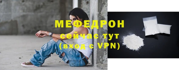 индика Няндома