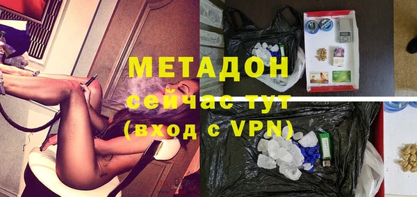 индика Няндома