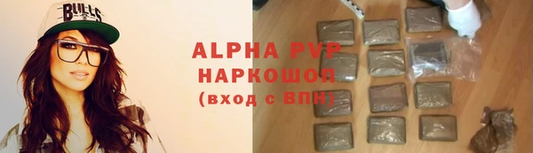 индика Няндома