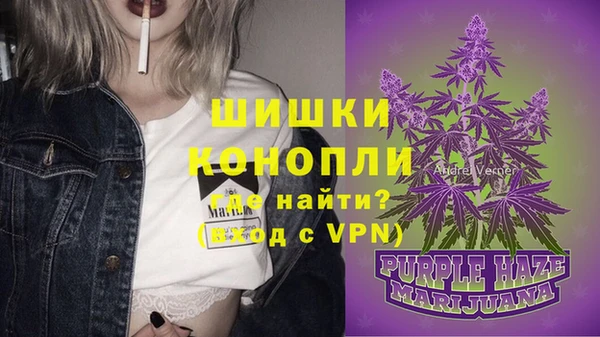 индика Няндома