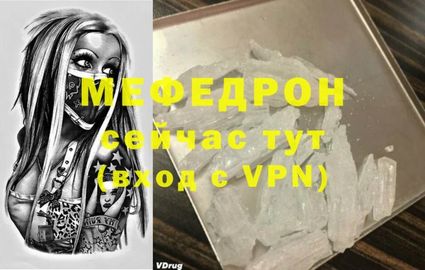 индика Няндома