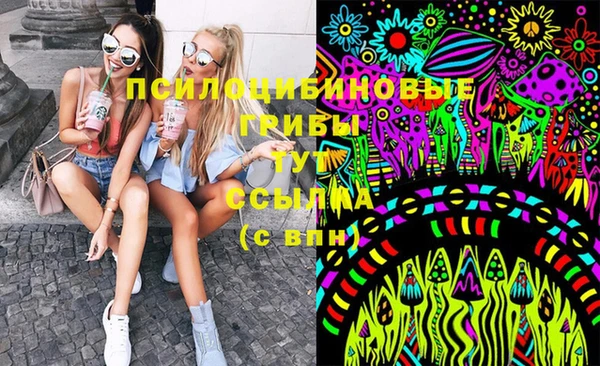apvp Нязепетровск