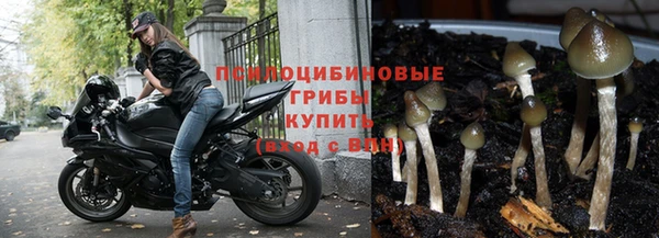apvp Нязепетровск