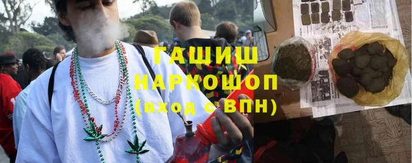 индика Няндома