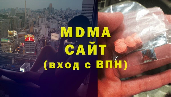 индика Няндома