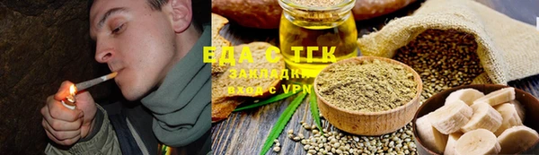 индика Няндома