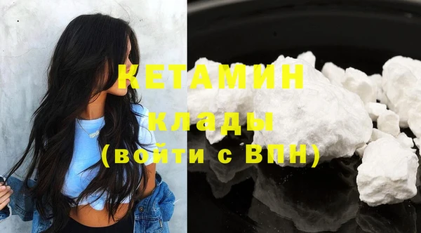индика Няндома