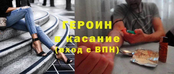 индика Няндома